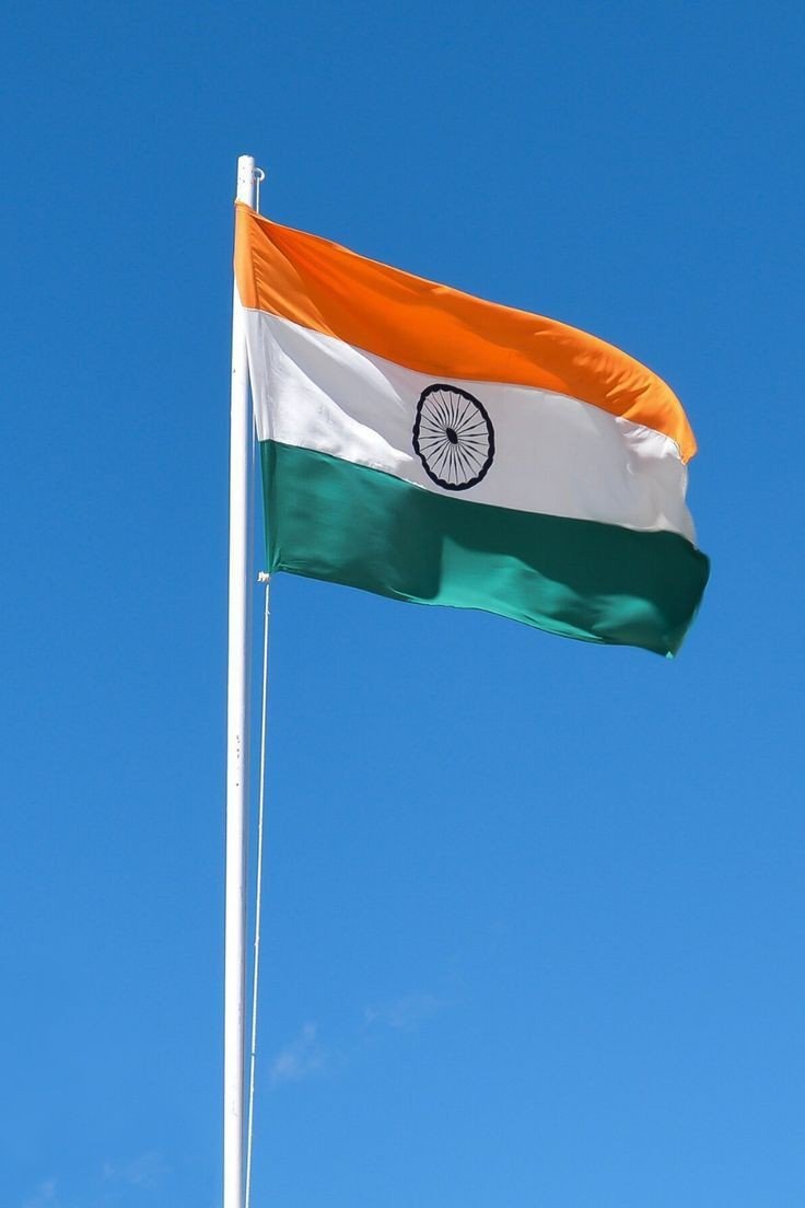 Indian Flag DP