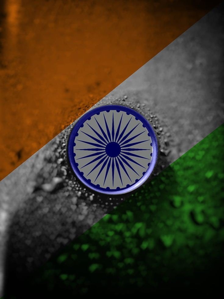 Indian Flag DP