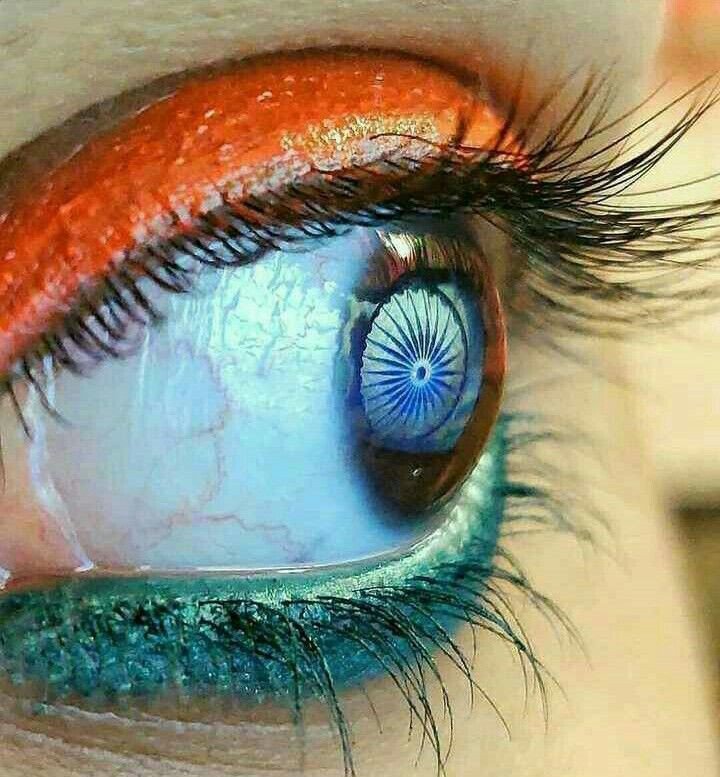 Indian Flag DP