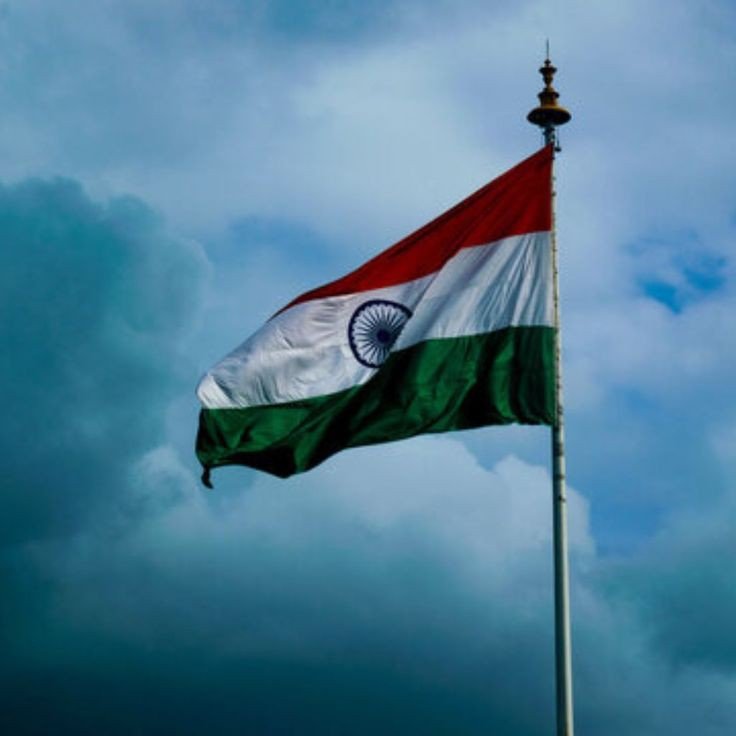Indian Flag DP