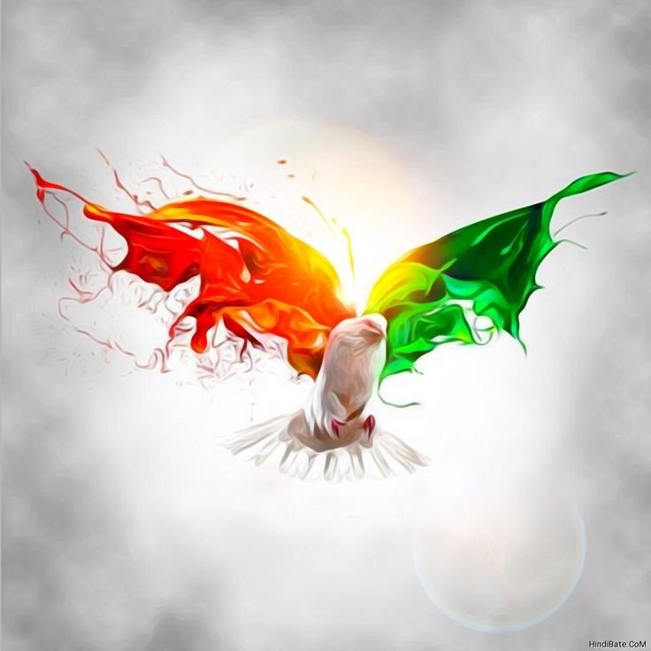 Indian Flag DP