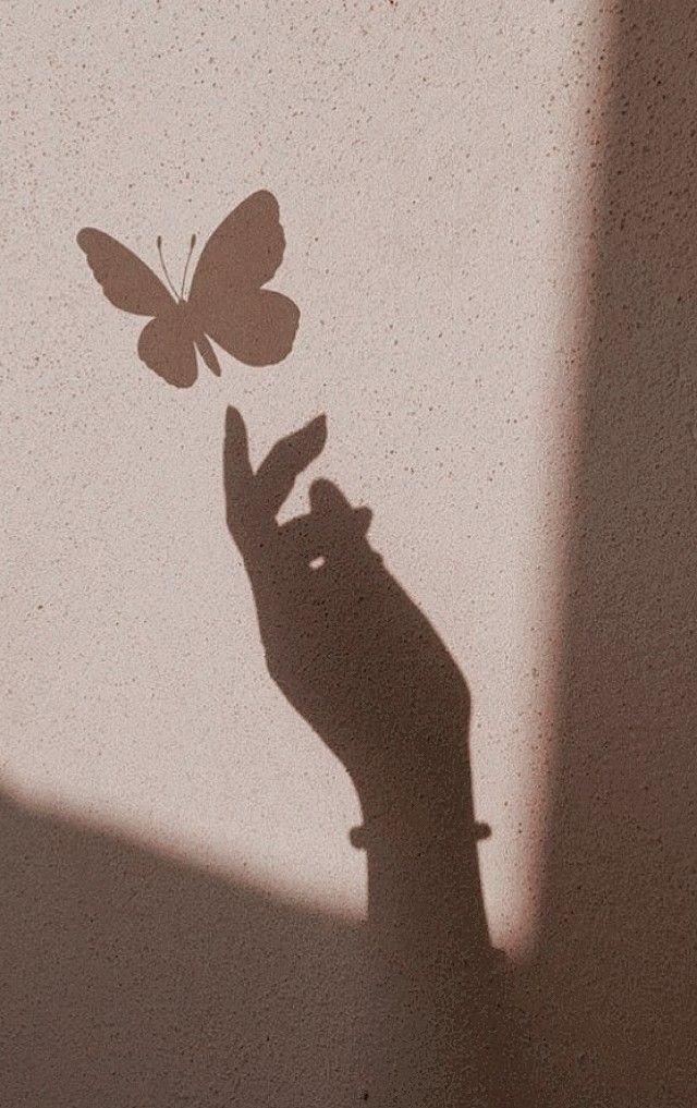 aesthetic dp