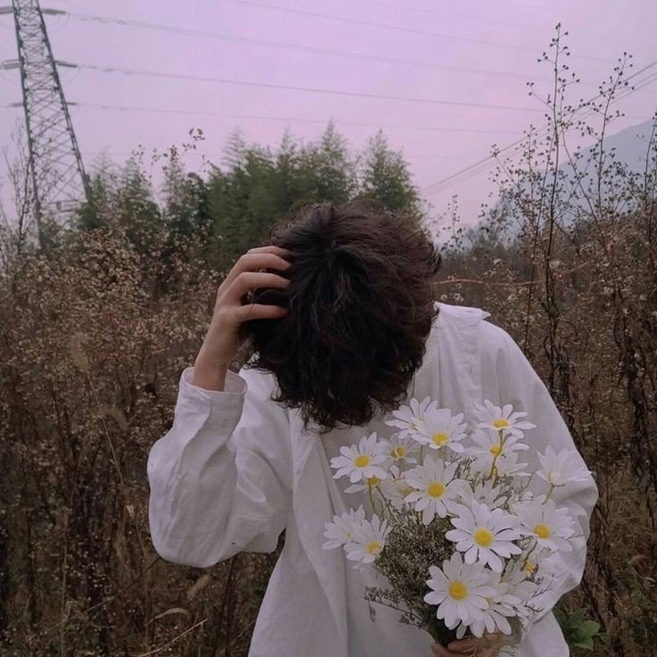 aesthetic dp