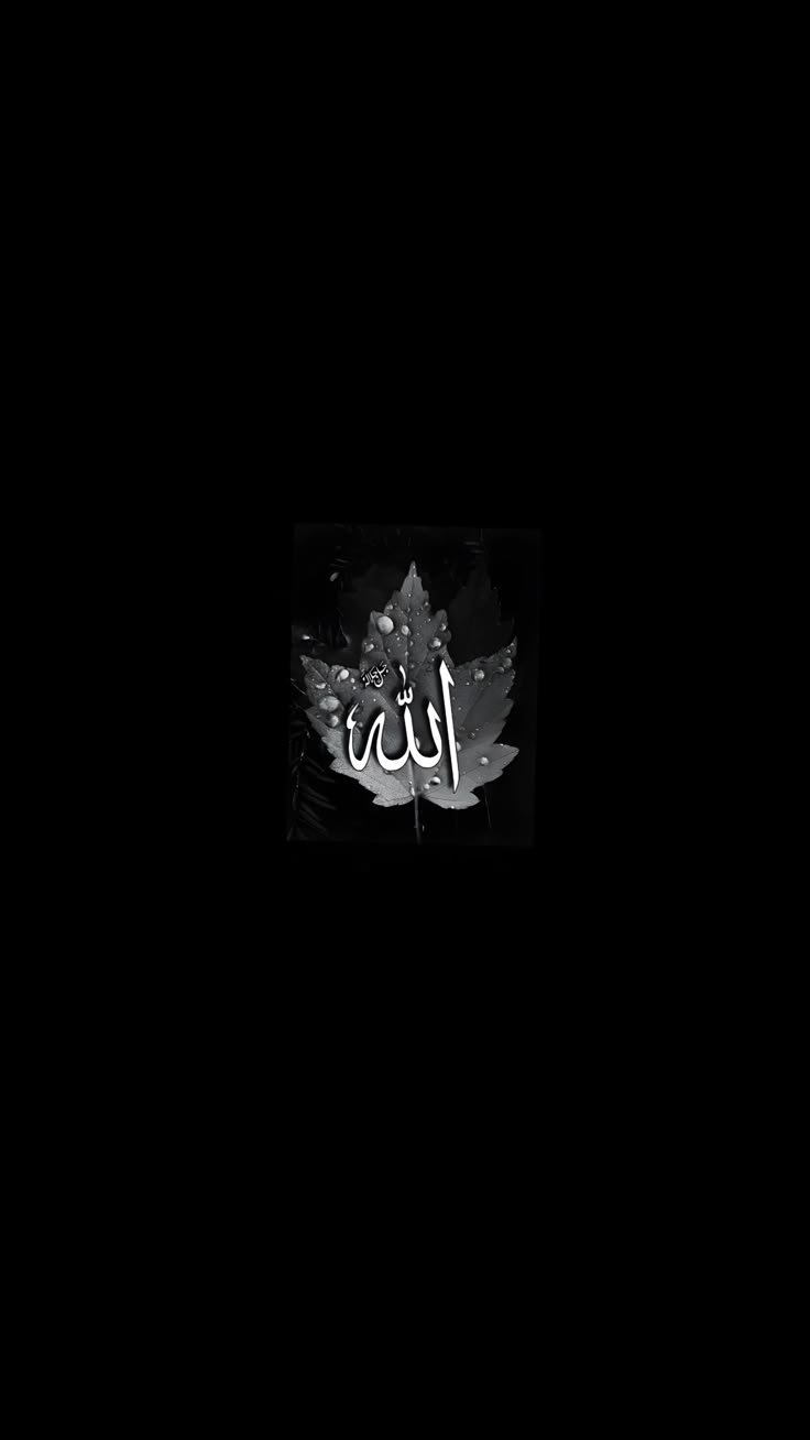 allah dp