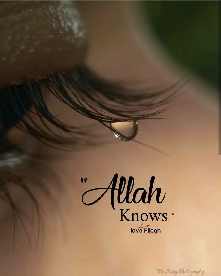 allah dp new