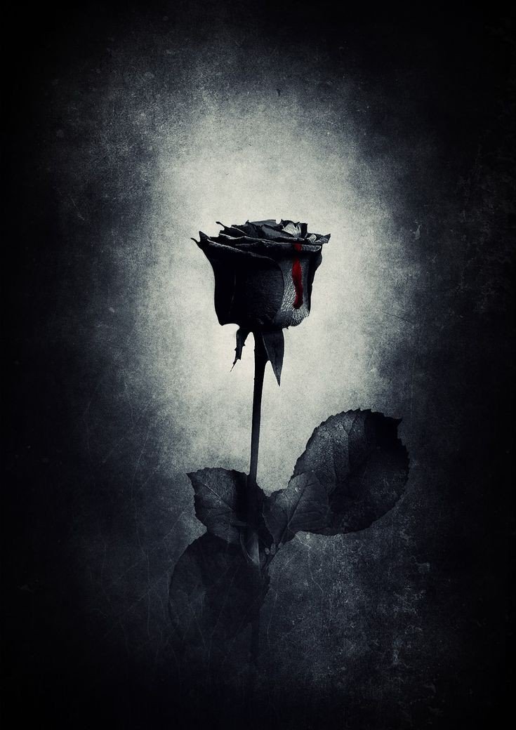 black dp for girls