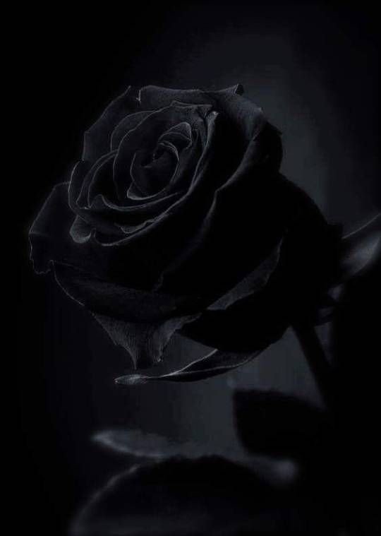 black dp sad girl
