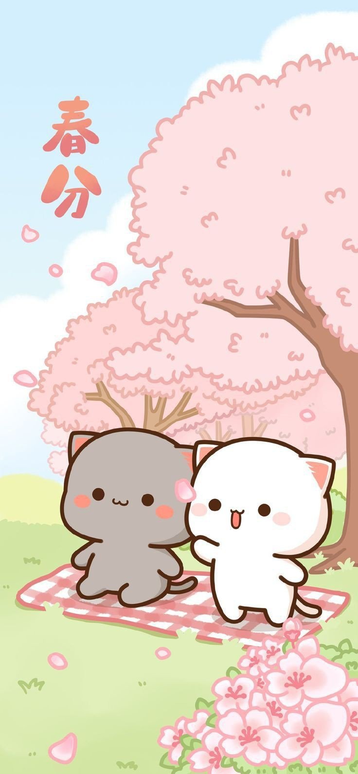 cute dp for whatsapp