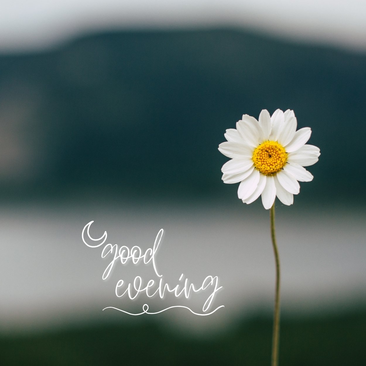 good evening images and messages