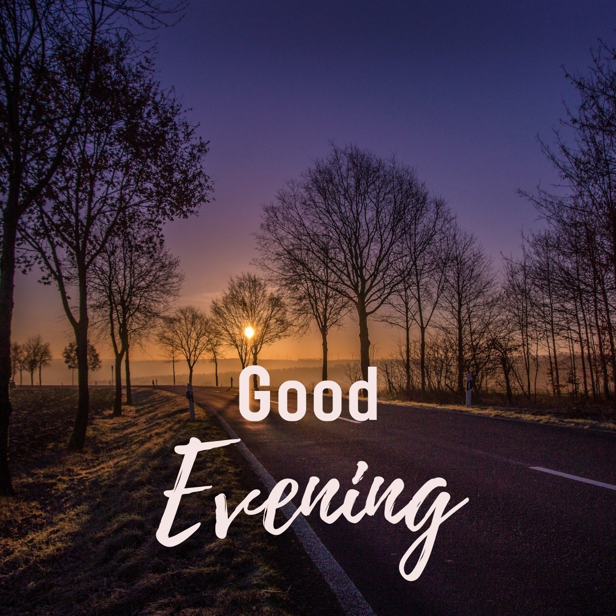 good evening images bengali