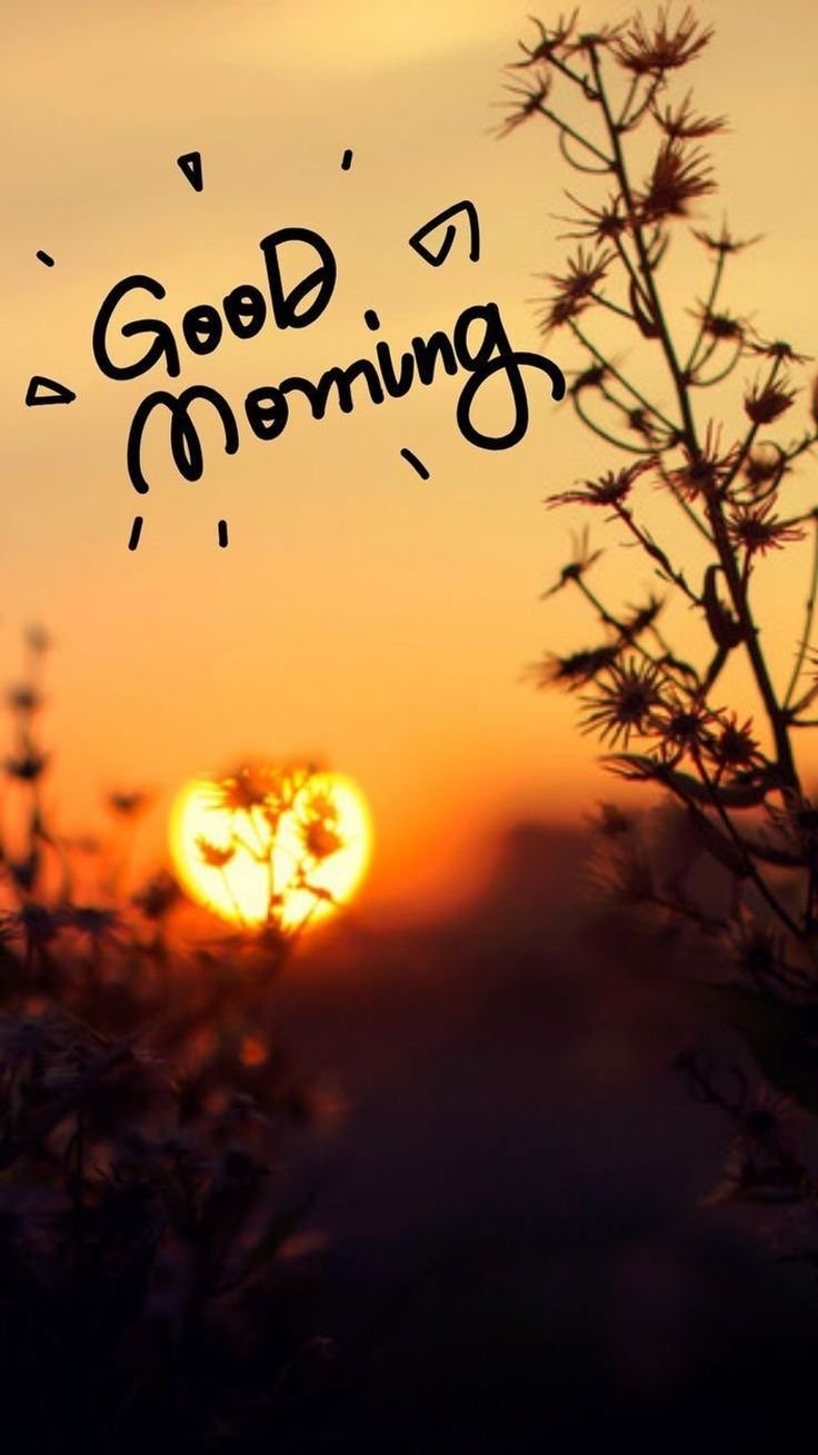 good morning images and messages
