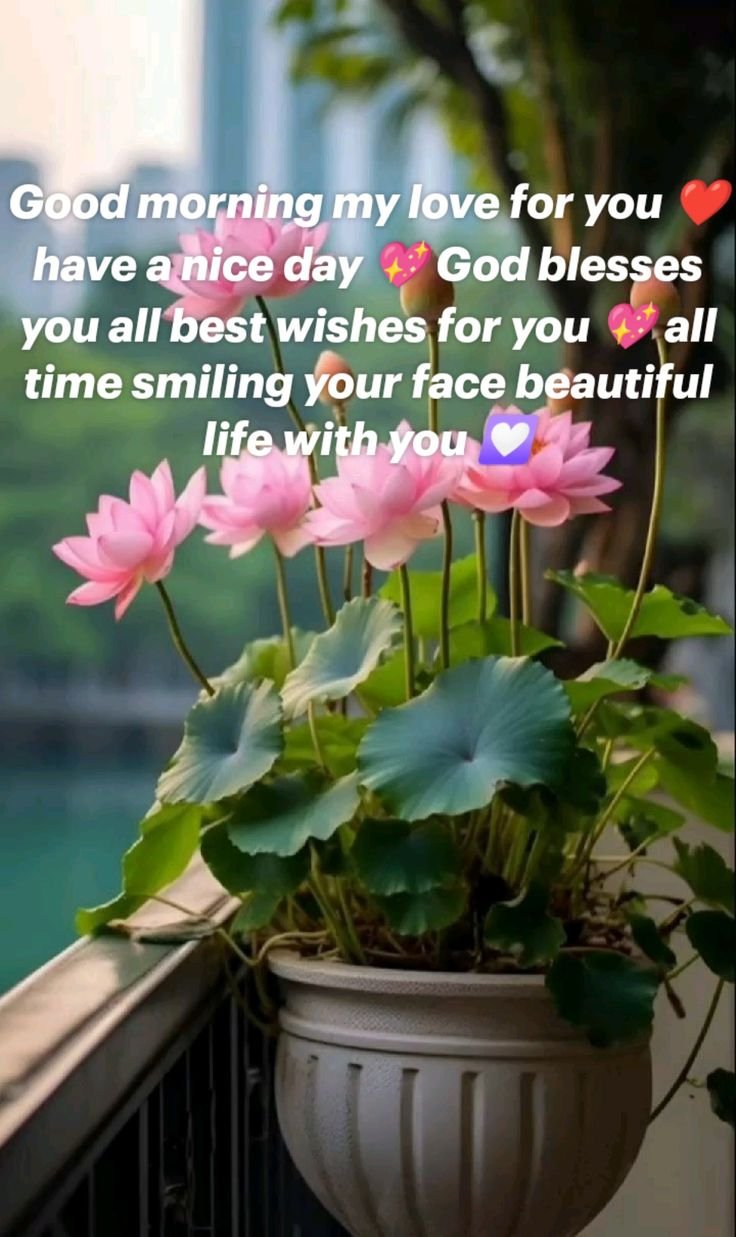 good morning images and messages