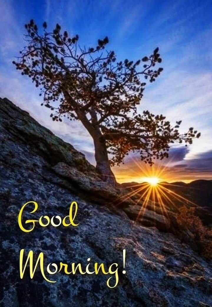 good morning images and messages