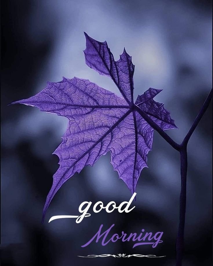 good morning images and quotes