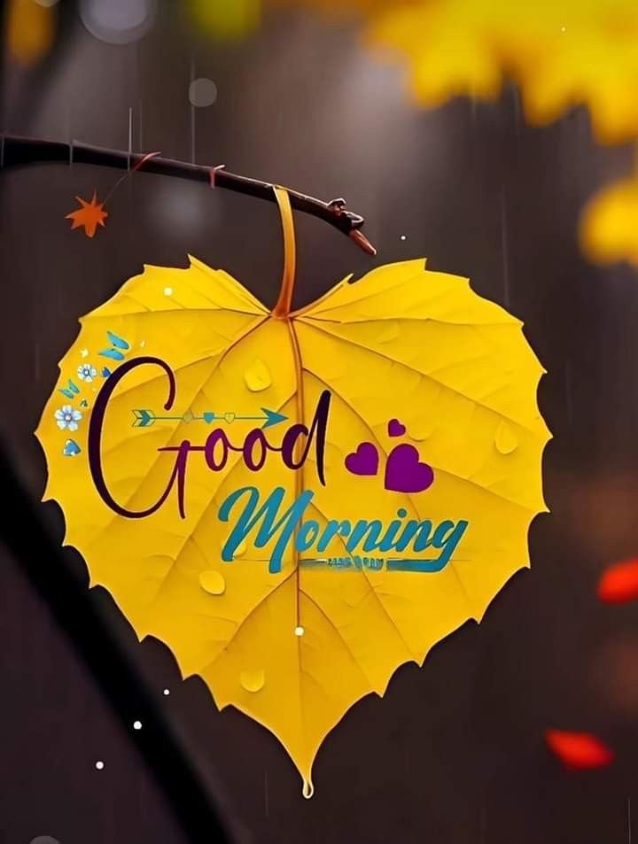 good morning images and quotes