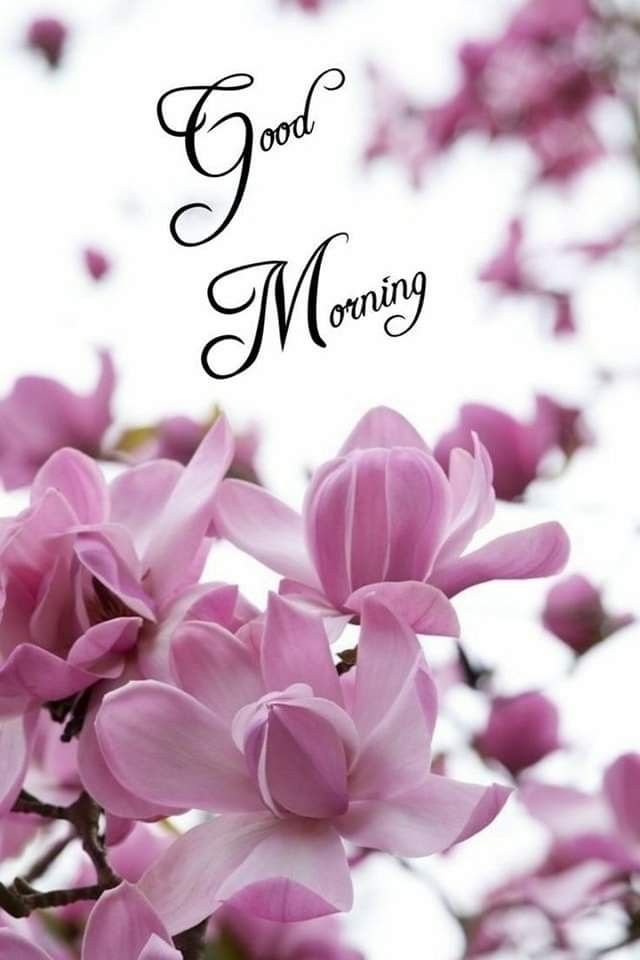 good morning images and quotes