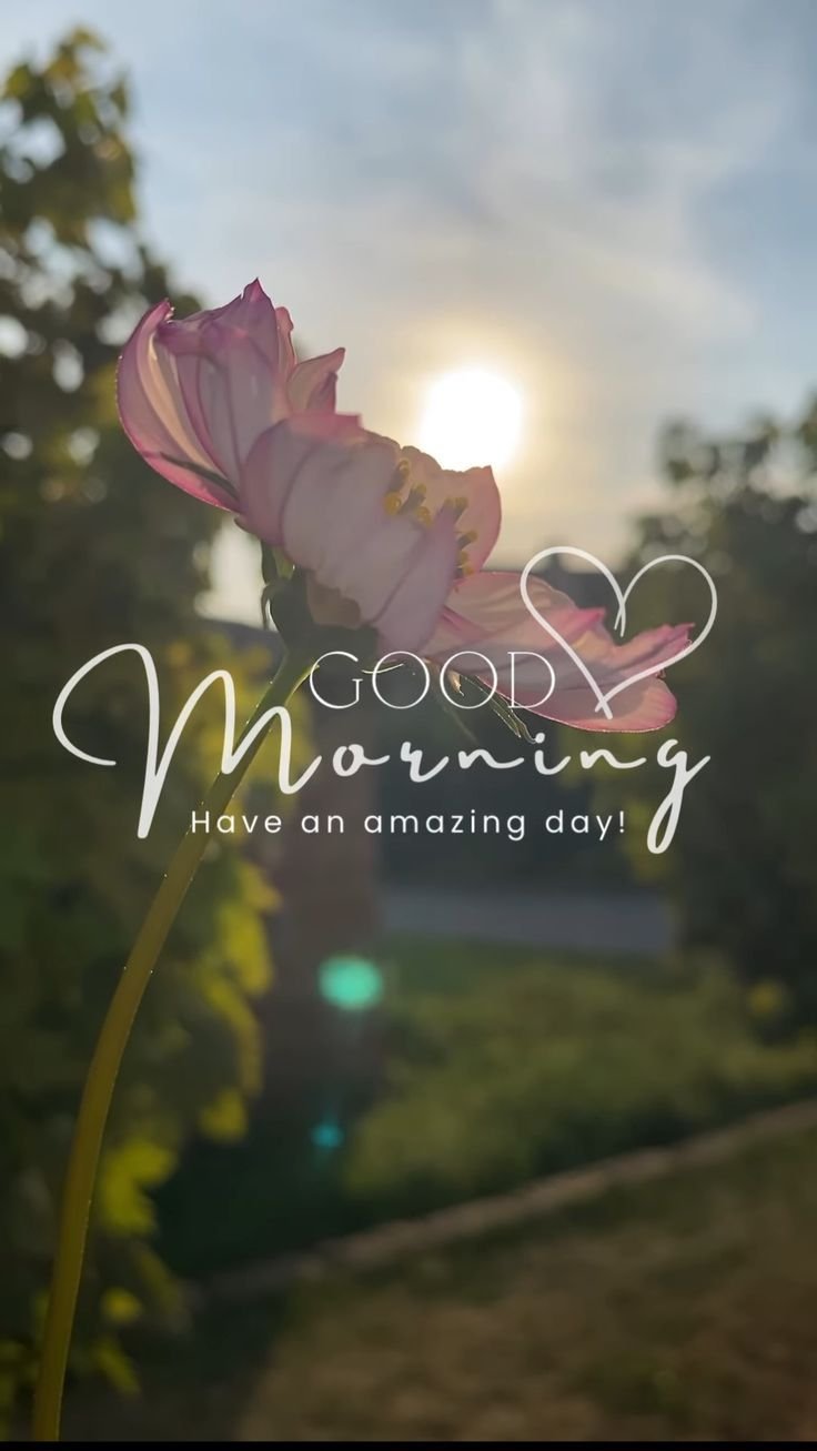 good morning images and wishes