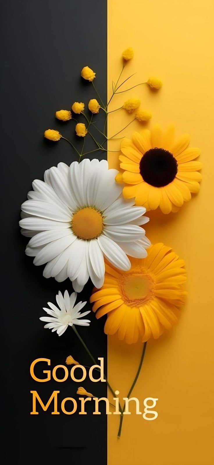 good morning images and wishes