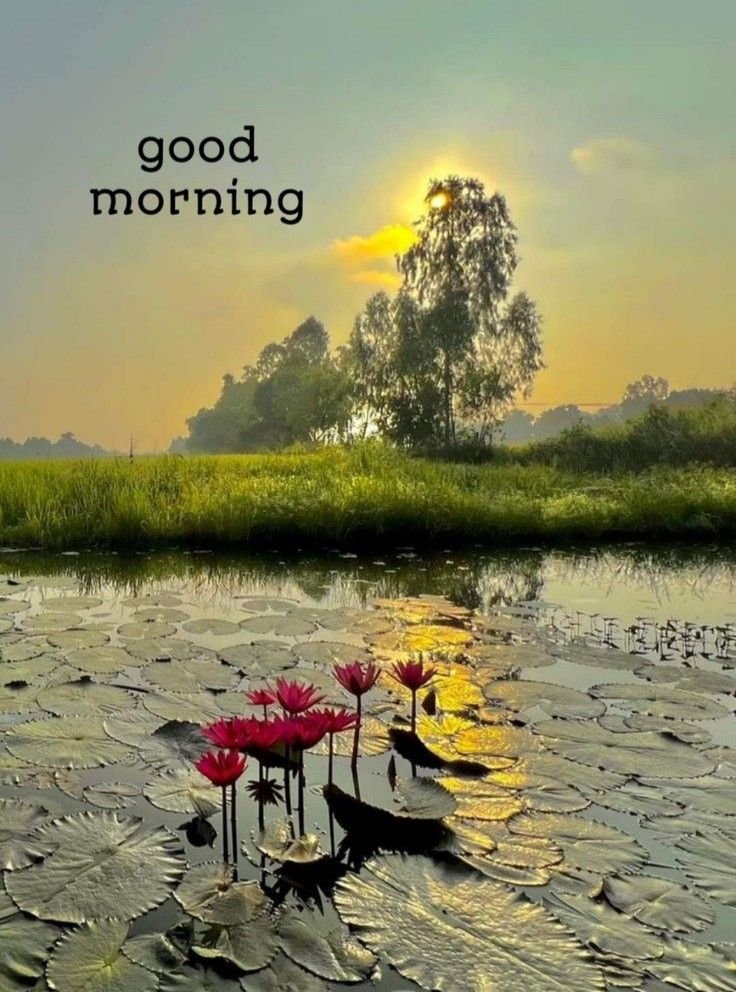good morning images app