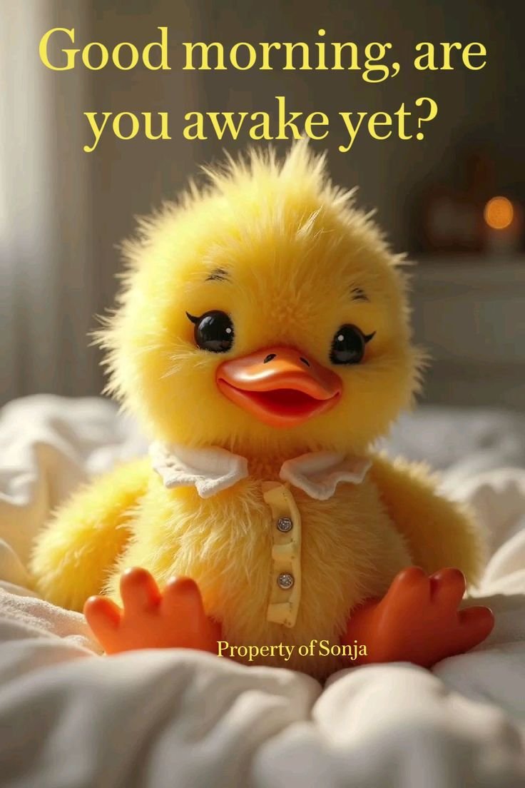 good morning images app