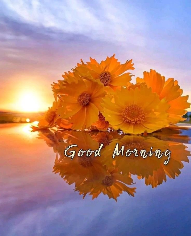 good morning images arabic