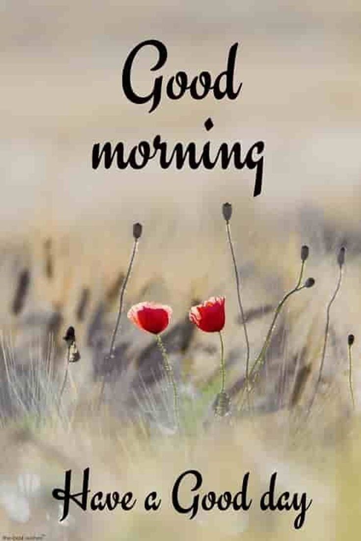 good morning images assamese