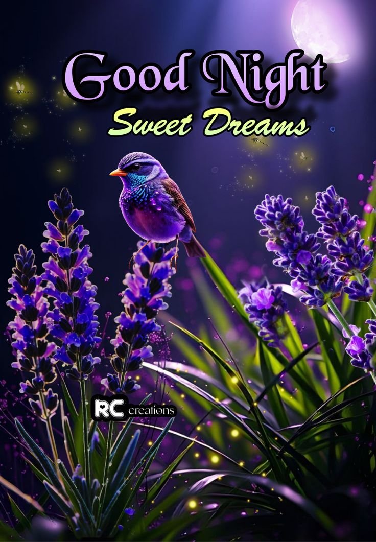 good night images ai