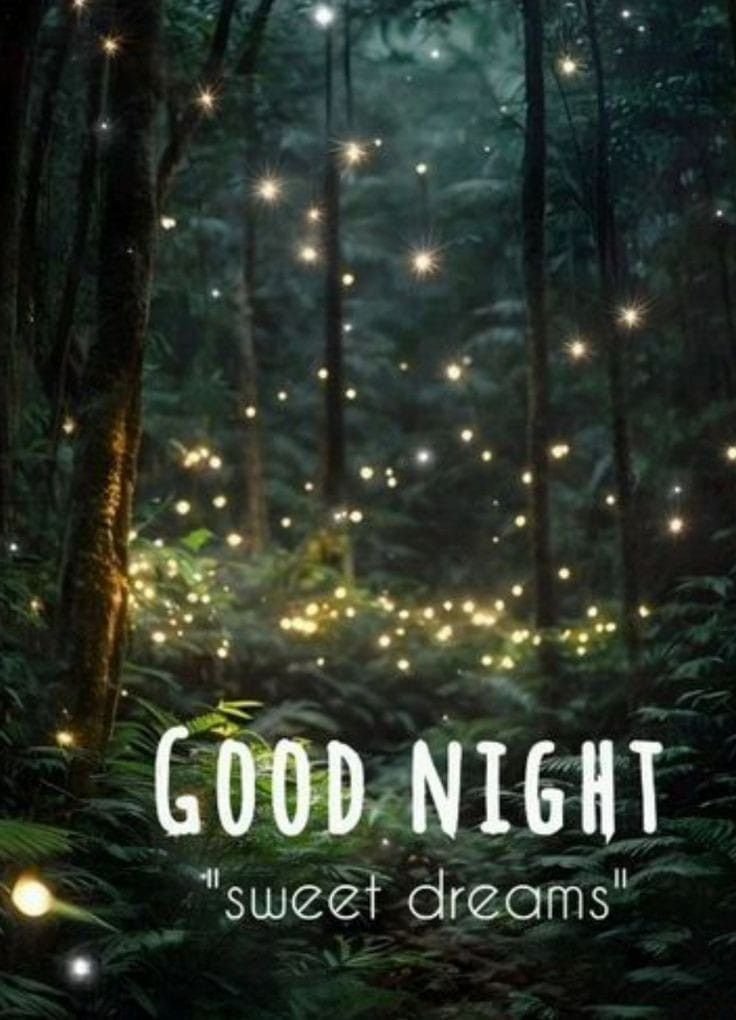 good night images and messages