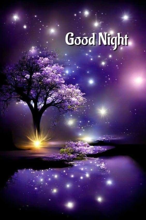 good night images and quotes