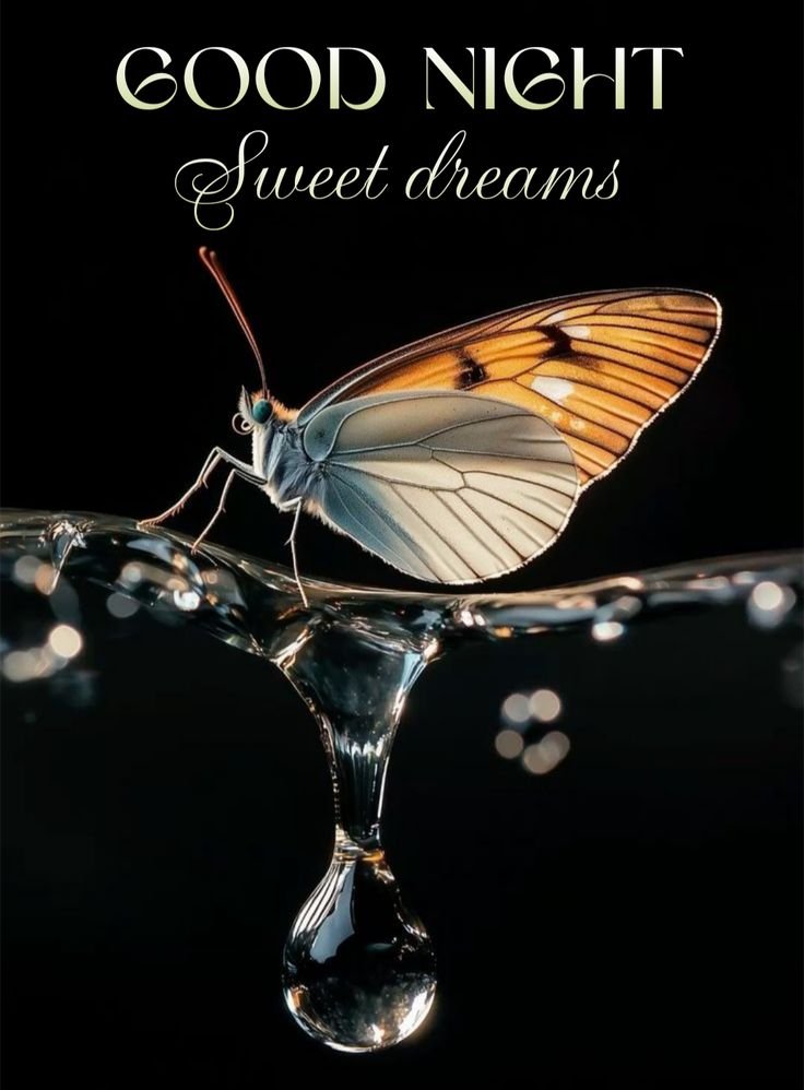 good night images and quotes in english