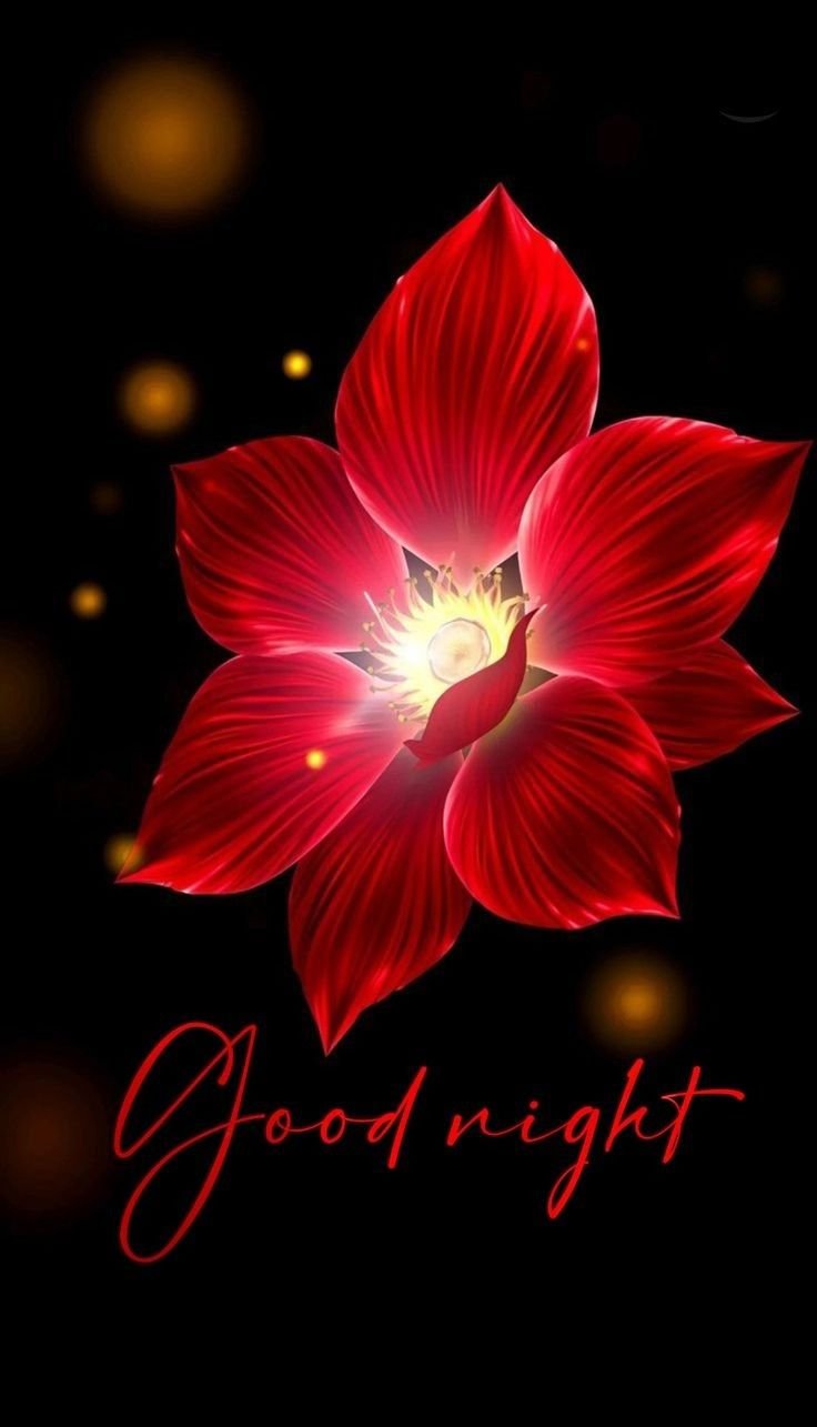 good night images and wishes