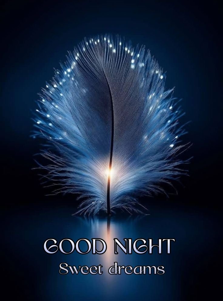 good night images and wishes