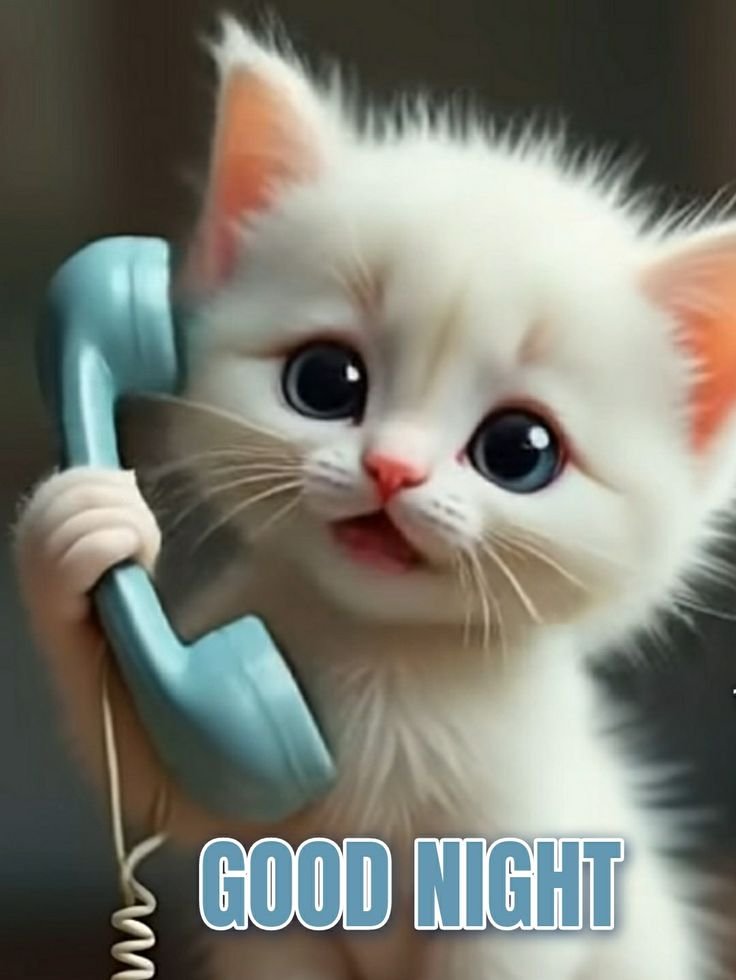 good night images assamese