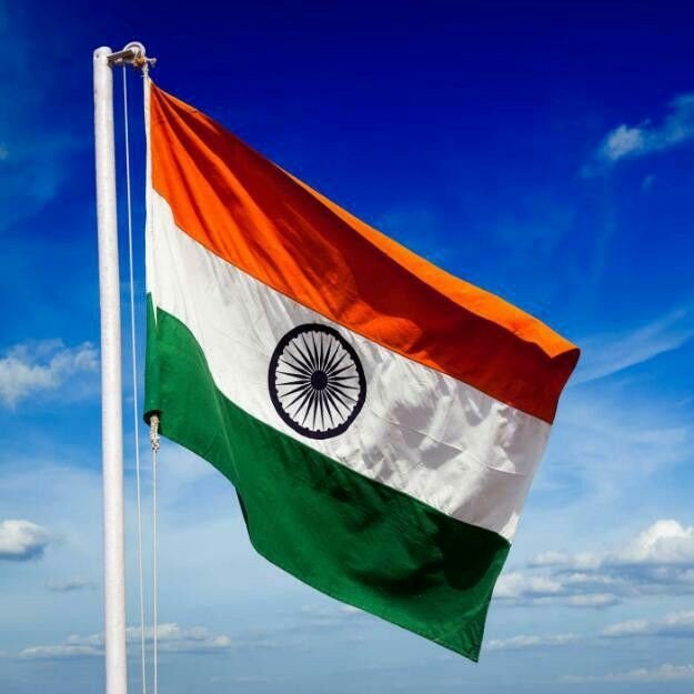 indian flag dp aesthetic