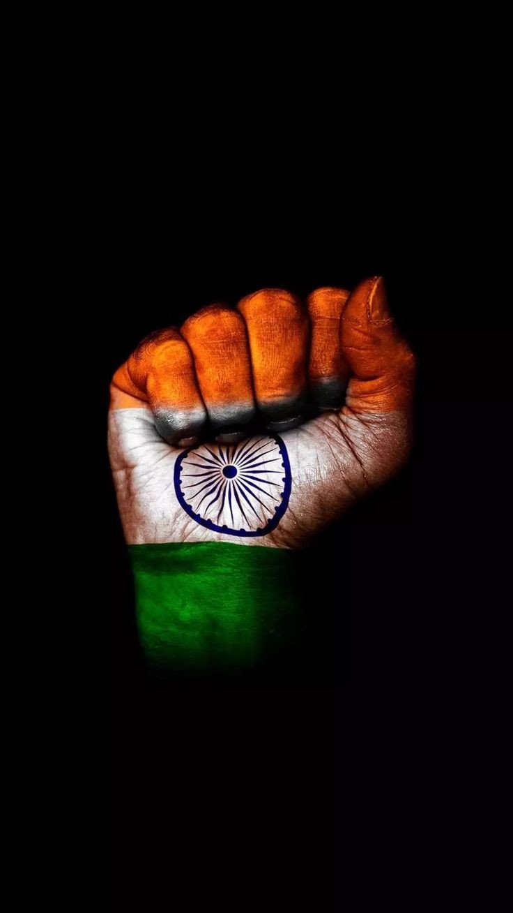 indian flag dp aesthetic