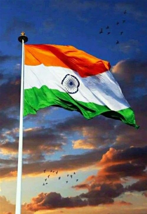 indian flag dp army