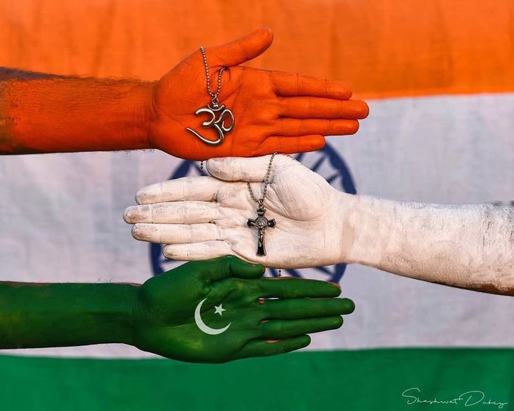 indian flag dp army