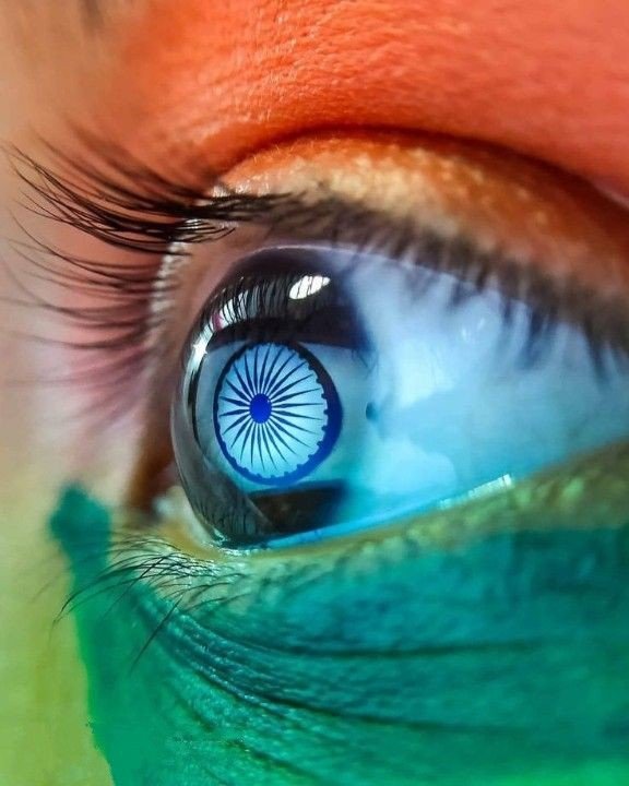 indian flag dp army