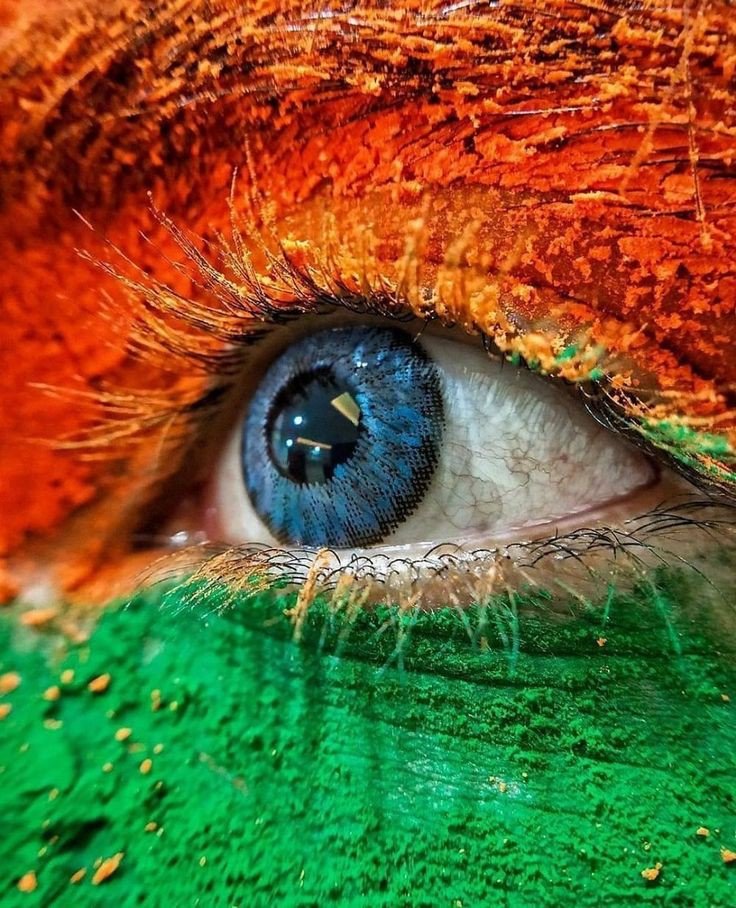 indian flag dp boy attitude