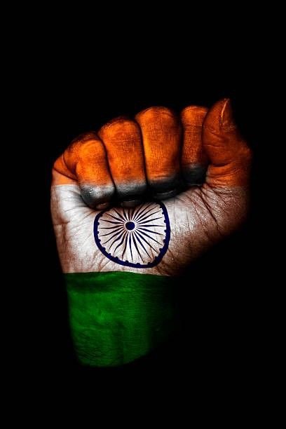 indian flag dp for whatsapp girl attitude