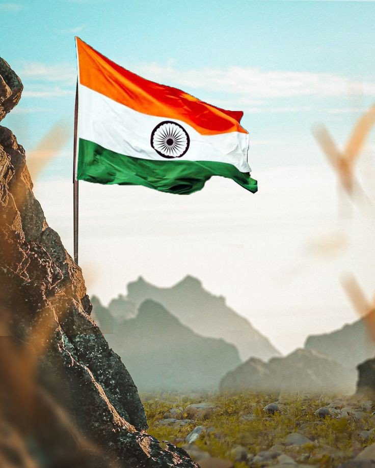 indian flag dp girl attitude