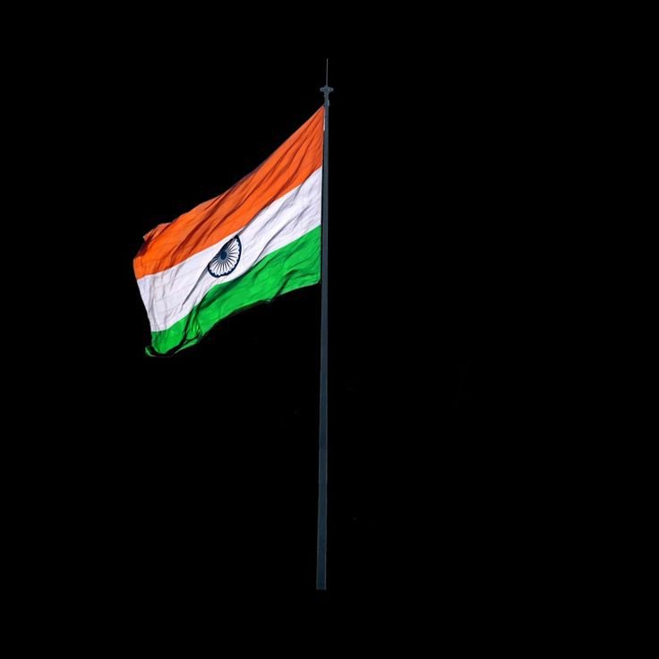 indian flag dp girl attitude
