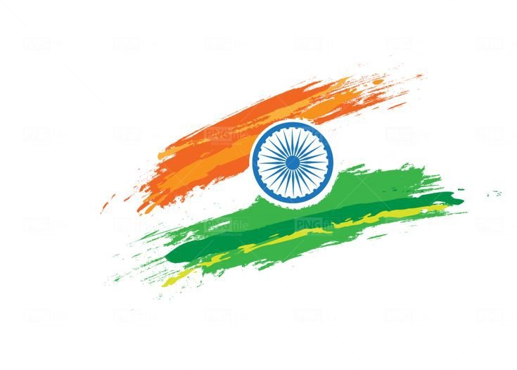 indian flag dp girl attitude
