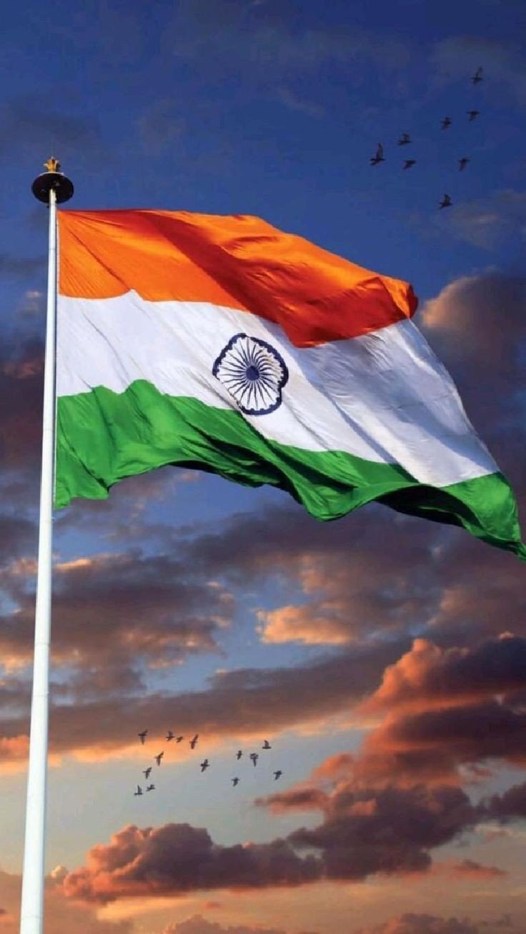 indian flag dp girl attitude