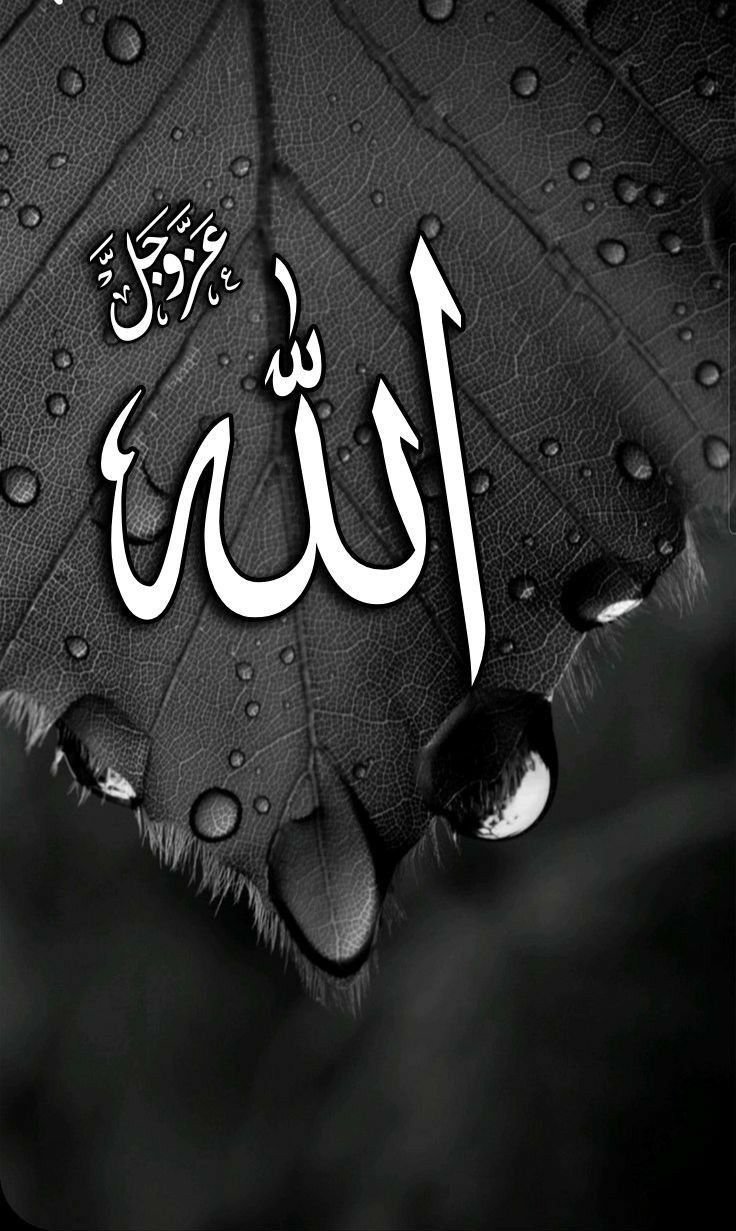 islamic dp for instagram