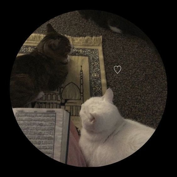 islamic dp for instagram