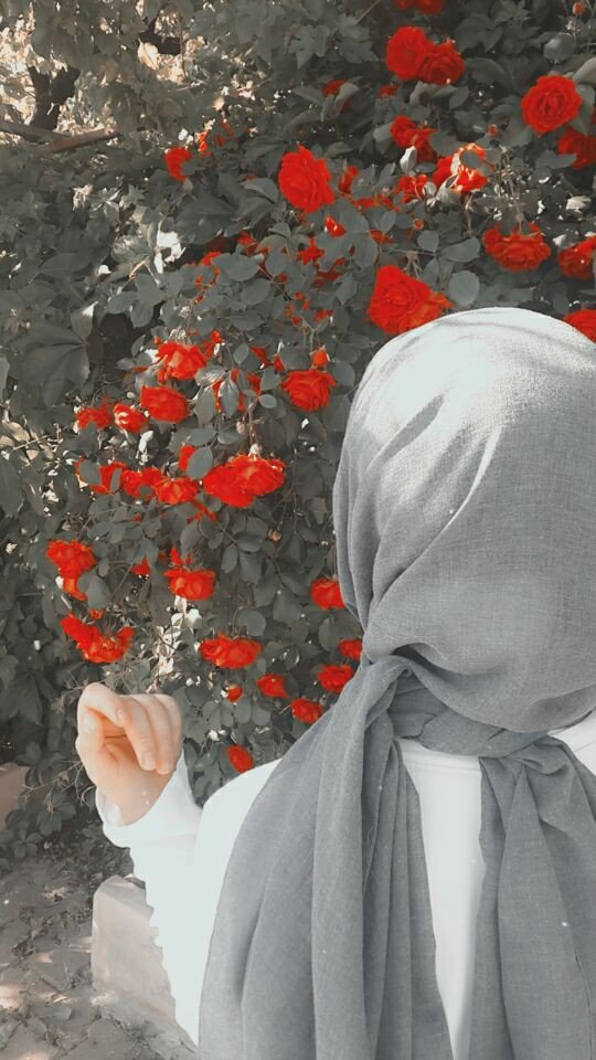 muslim girls dp attitude