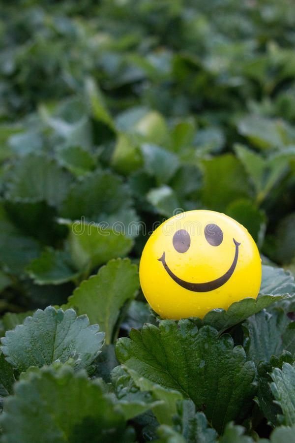smile dp boy love