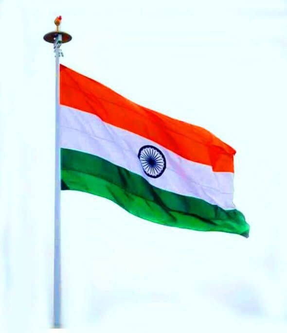 tiranga dp