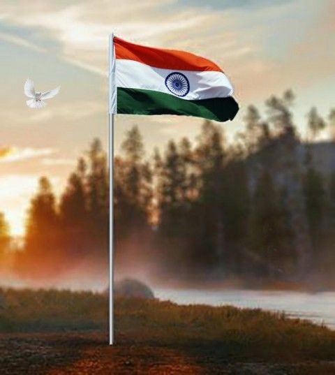 tiranga dp boy